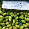 Lúpulo en flor envasado al vacío variedad nacional U-265