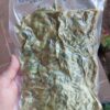 Lúpulo en flor envasado al vacío variedad nacional U-265